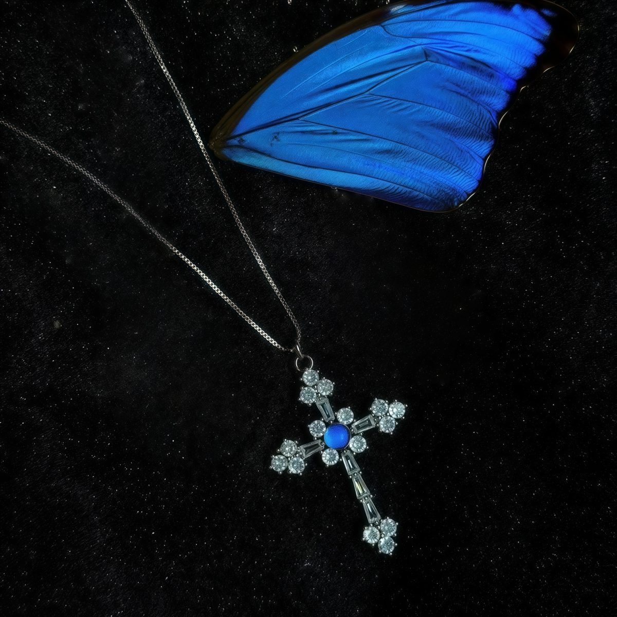 Flatlay of Cosmic Wings · Blue Morpho Holy Cross